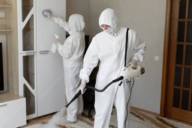 Mold Testing and Removal in Mount Ayr, IA