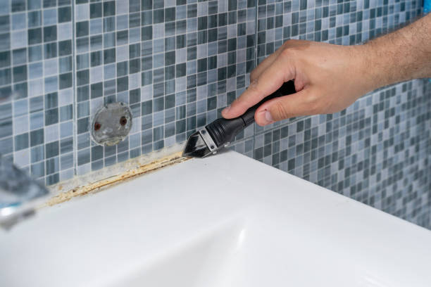 Reliable Mount Ayr, IA Mold Removal Solutions