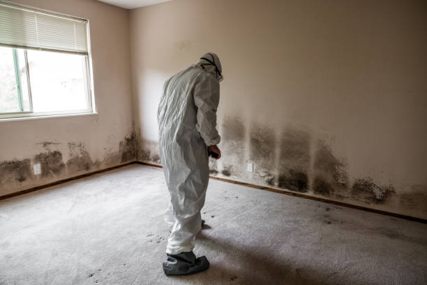 Water Damage Restoration in Mount Ayr, IA